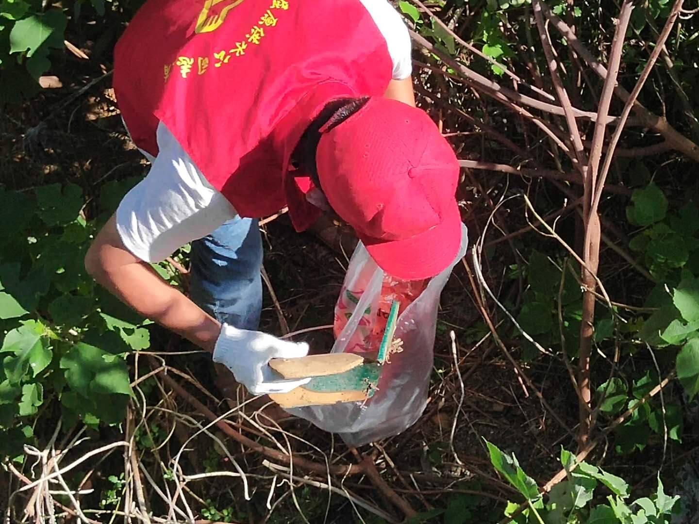 佰利乐·(中国区)有限公司官网