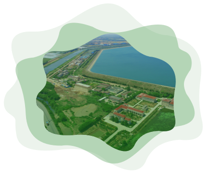 �����֡�(�й���)���޹�˾����