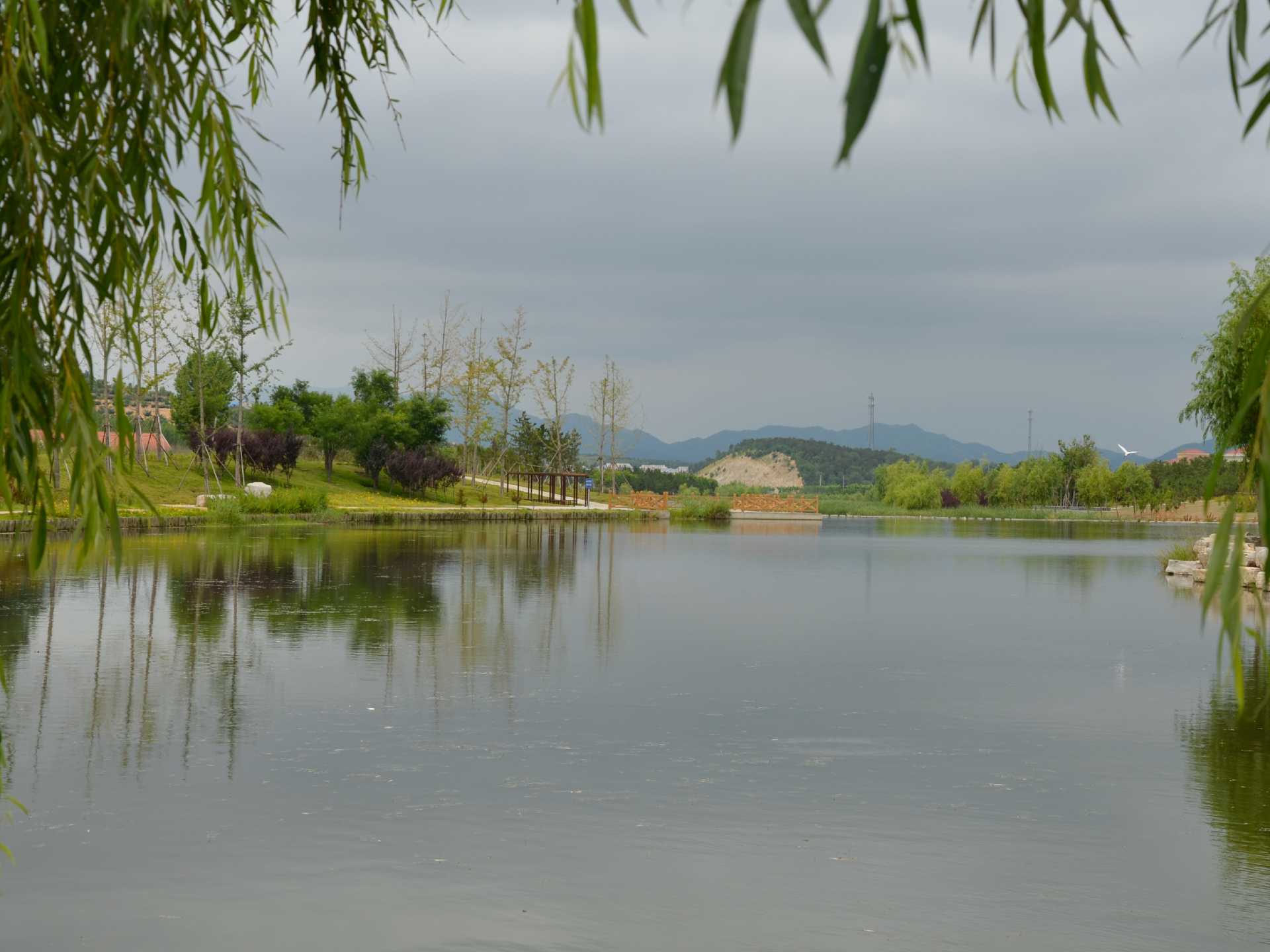 �����֡�(�й���)���޹�˾����