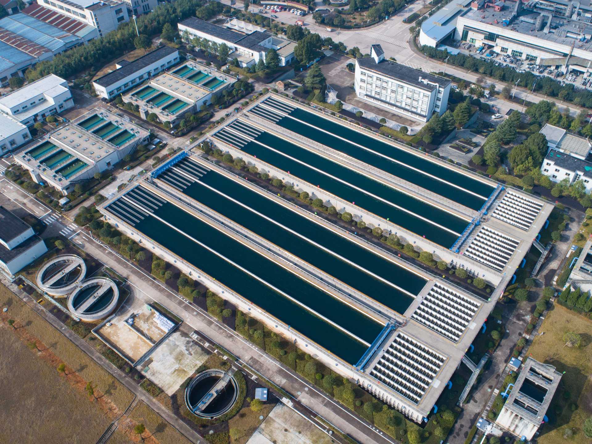 �����֡�(�й���)���޹�˾����