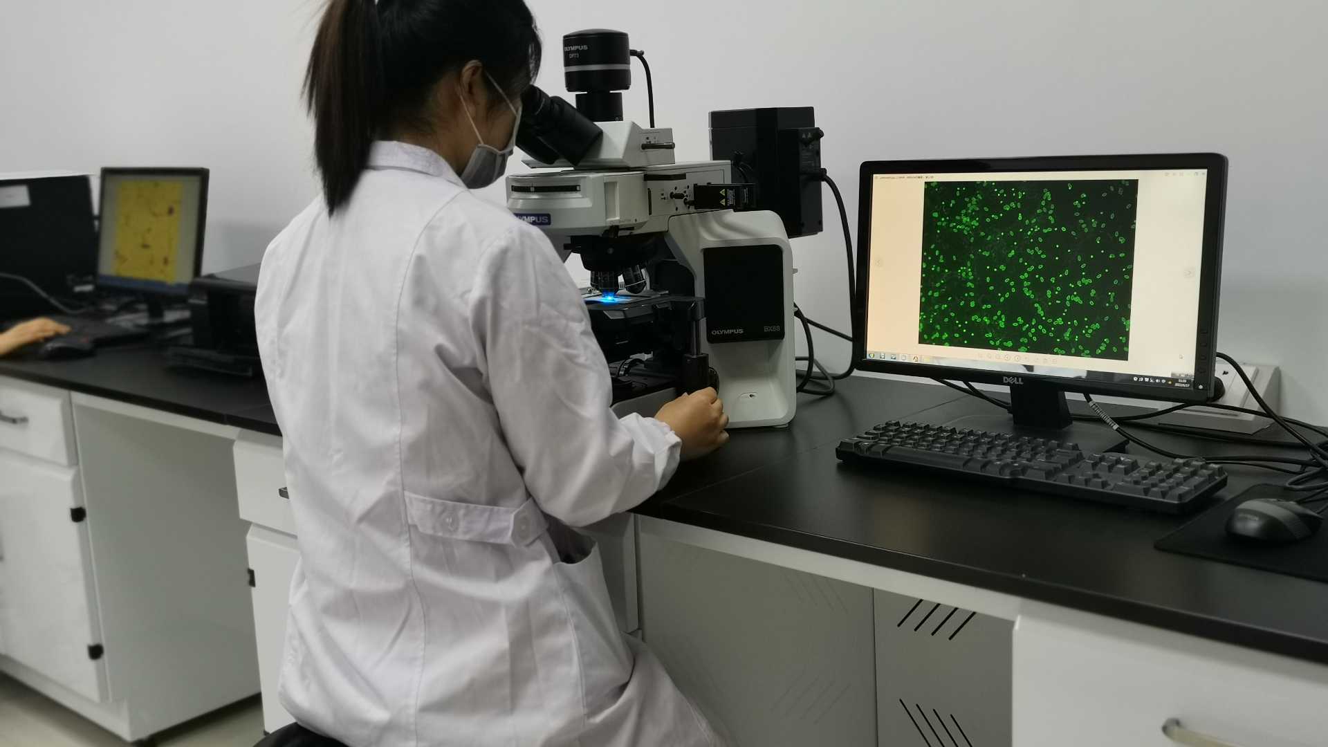 �����֡�(�й���)���޹�˾����