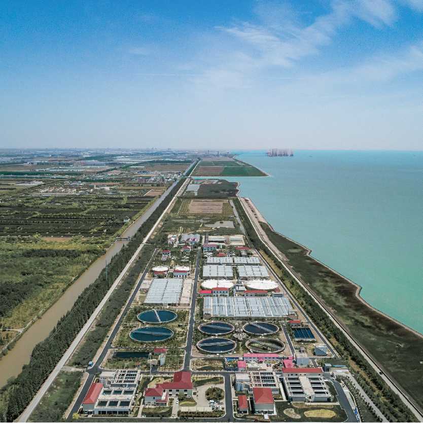 �����֡�(�й���)���޹�˾����