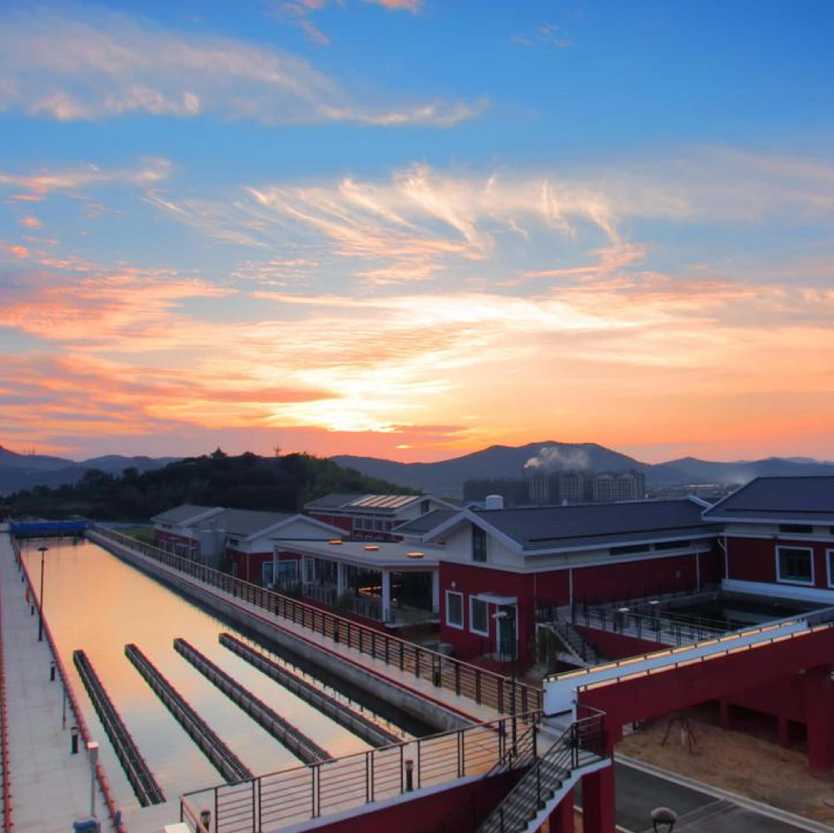 �����֡�(�й���)���޹�˾����